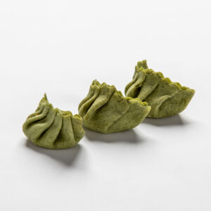 gyoza vegetariano